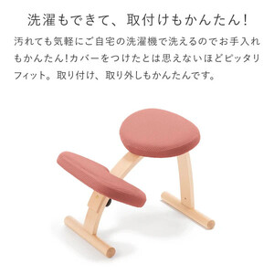 バランスイージー専用はっ水カバー(アガットレッド)ドットワッフル【 バランスイージー カバー 大阪府 門真市 】