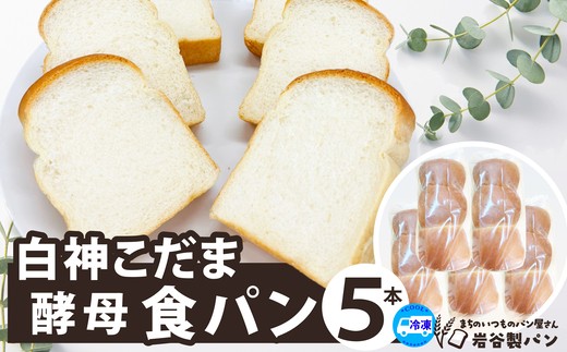 白神こだま酵母食パン（5本）　【65P168001-02】【岩谷製パン有限会社】