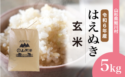 ＜令和6年産米＞令和7年5月上旬発送　はえぬき 【玄米】 5kg （5kg×1袋） 鮭川村