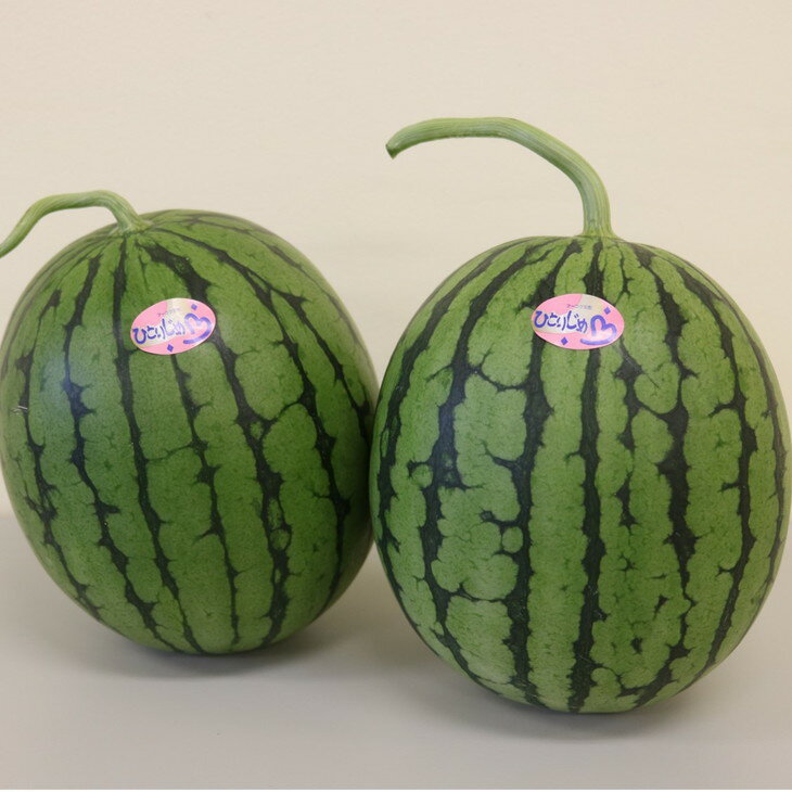 【ふるさと納税】御坊産小玉すいか　ひとりじめ L～2L寸(2玉約4～5kg)