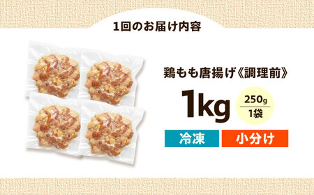 からあげ 【全3回定期便】揚げるだけ！もも唐 1kg [AOEU013] からあげ