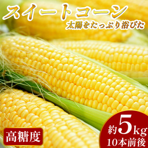 【 2026年産 】 5kg スイートコーン 朝採り  ゴールドラッシュ とうもろこし スイートコーン