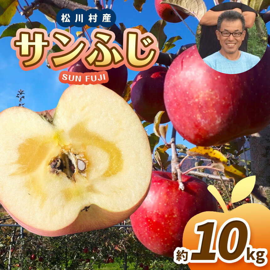 【ふるさと納税】 *【2025年先行予約】 北條農園 並品 サンふじ 約10kg ｜ リンゴ りんご 林檎 果物 フルーツ 果実 果汁 サンふじ さんふじ 長野県 松川村 信州