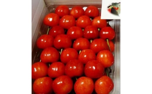 
            08-07-016　さくらんぼ(佐藤錦)500g
          