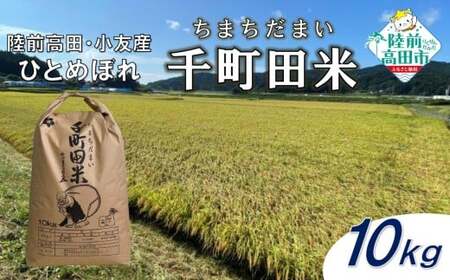 ひとめぼれ 10kg【先行予約 令和7年産 ひとめぼれ 新米 】