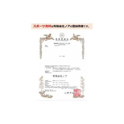 野球グローブクリーニング（色補修プラン）