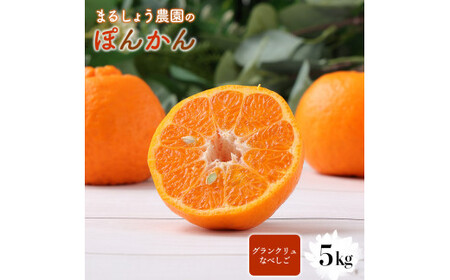 ＜先行予約＞ぽんかん【グランクリュなべしご】 5㎏　MS3 [MS-03] 【まるしょう農園】