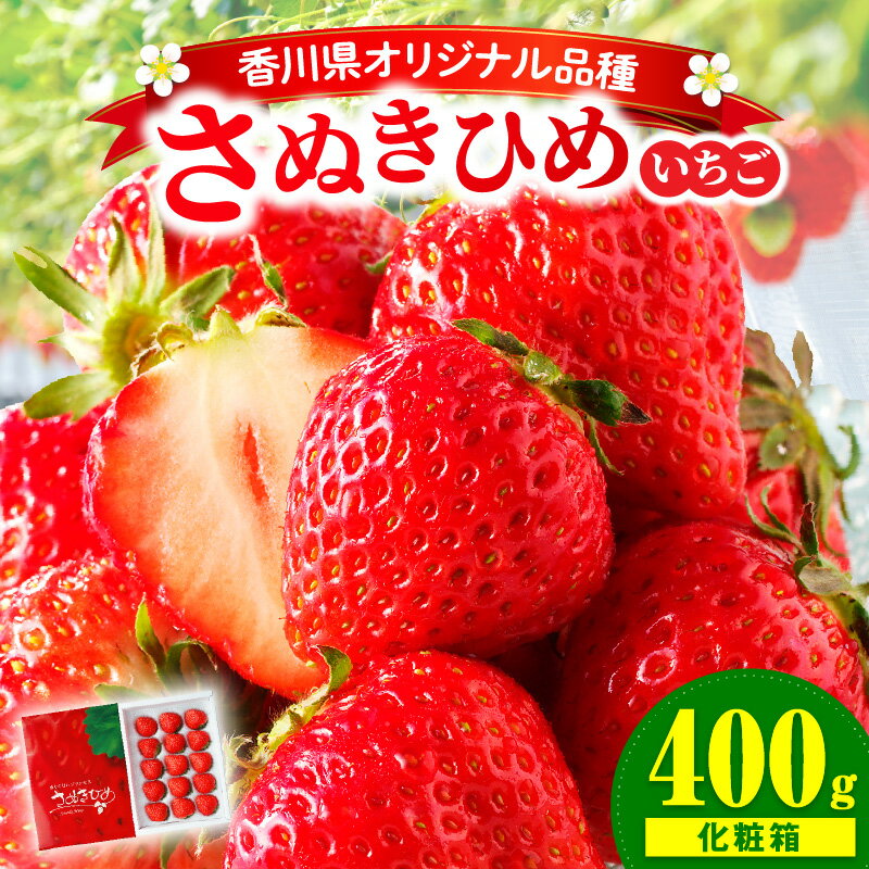 【ふるさと納税】【年内発送】三木町地域いちご部会『さぬきひめ』 約400g(化粧箱入) いちご ストロベリー イチゴ さぬき姫 さぬきひめ 苺 甘い 冷蔵 フルーツ 旬 果物 香川県 デザート 青果物 贈答 プレゼント 化粧箱 贈り物 おすすめ 三木町