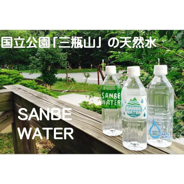 非常食になるおいしいハンバーグと三瓶山の天然水セット【レトルト ハンバーグ 180g 固形量 120g 8個 天然水 500ml 6本 手作り デミグラスソース 水 ペットボトル 長期保存 セット】