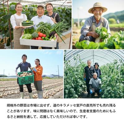 ふるさと納税 室戸市 季節のお野菜詰め合わせセット 定期便 2回 旬の詰め合わせ 産地直送 季節の新鮮 ふるさと納税 |  | 03