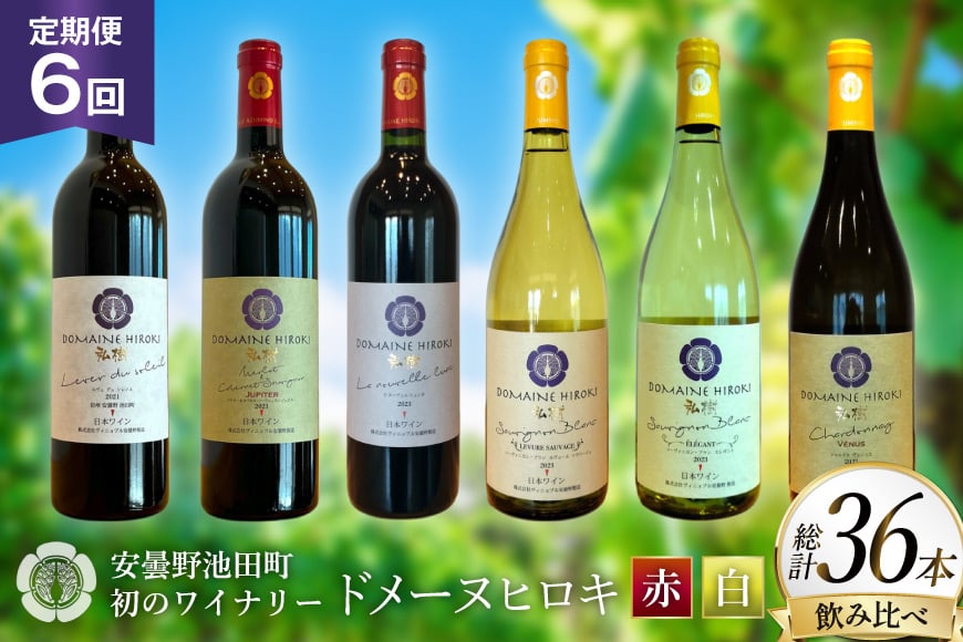
            定期便 ワイン 赤白 6本 セット 各 750ml 6回 計 36本 [ヴィニョブル安曇野 長野県 池田町 48110765] フルボディ 飲み比べ ワインセット 赤ワイン 白ワイン
          
