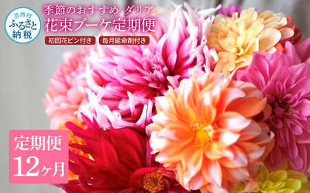 《12ヵ月定期便》 ダリア 花束 初回花瓶付 延命剤付き