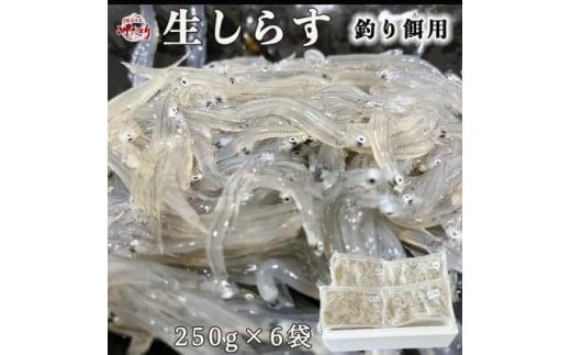 
岬だよりの 生しらす釣り餌用 250g×6袋【1457301】
