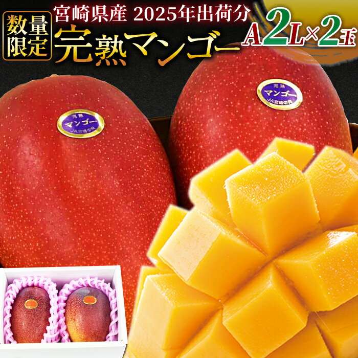 【ふるさと納税】数量限定！【2025年発送】＜宮崎県産 完熟マンゴー A等級 2Lサイズ×2玉（合計約700g）＞※入金確認後、2025年4月下旬～6月末迄に順次出荷 果物 フルーツ ギフト 贈り物 贈答用 季節限定 JAみやざき 宮崎県 国富町【冷蔵】