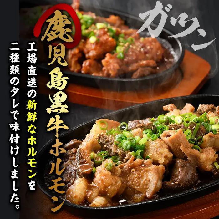 No.790 鹿児島黒牛のホルモンのタレ味と旨辛味の詰合せ(合計2.1kg・300g×7P) 国産 九州産 鹿児島県産 黒牛 和牛 牛肉 お肉 ホルモン モツ 小腸 レバー しま腸 ハチノス 詰め合わ