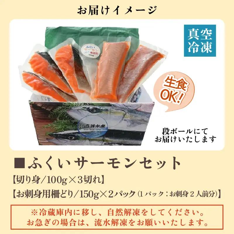 ふくいサーモンセット 計600g（切り身100g×3切・柵どり150g×2パック）＜鮮度抜群！＞ ／サーモン 鮭 [aw002-b005]