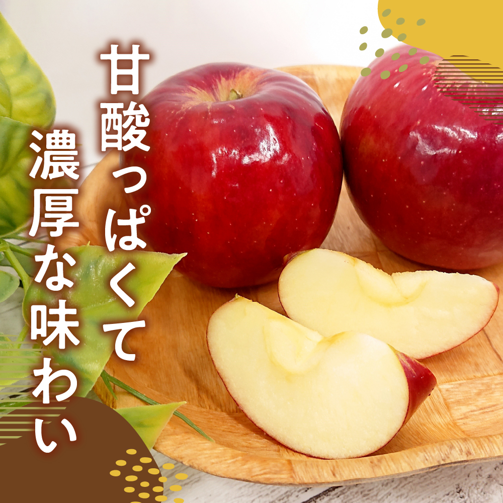 【2026年10月下旬発送】【訳あり】 りんご 5kg 紅玉 アップルパイ に最適 青森 不揃い