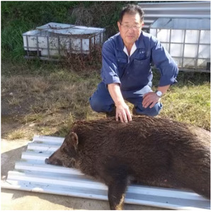 里山新見のめぐみ ジビエ肉味噌＆食べる猪ラー油 セット