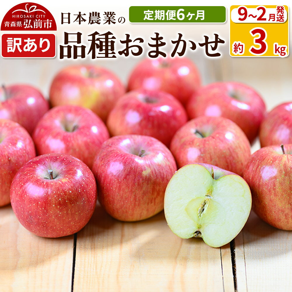 【ふるさと納税】りんご 【定期便6ヶ月】【先行受付】 平均糖度12.5度以上！ 訳あり品種おまかせ 約3kg 【9月〜2月】 6回分