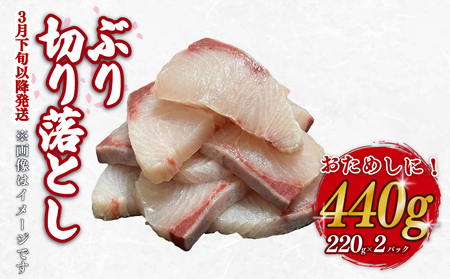 ぶり 切り落とし 約440g (220g×2パック) 