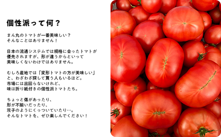 【先行予約・2025年12月】産地直送 個性派 フルーツトマト 2kg　日高みよし農園 大玉トマト 個性派トマト 新鮮トマト 2キロ