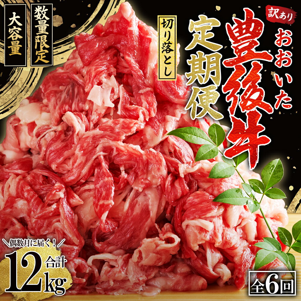 【ふるさと納税】 【 定期便 】 偶数月 に届く！ おおいた 豊後牛 切り落とし 2kg ( 500g × 4パック ) × 6回 牛肉 肉 お肉 焼肉　BBQ サブスク 国産 九州産 大分県産 D27-S