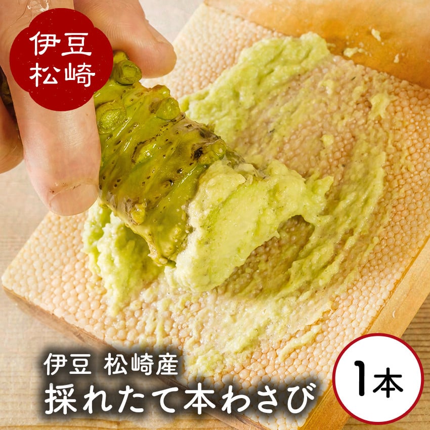 
            伊豆の生わさび 1本
          