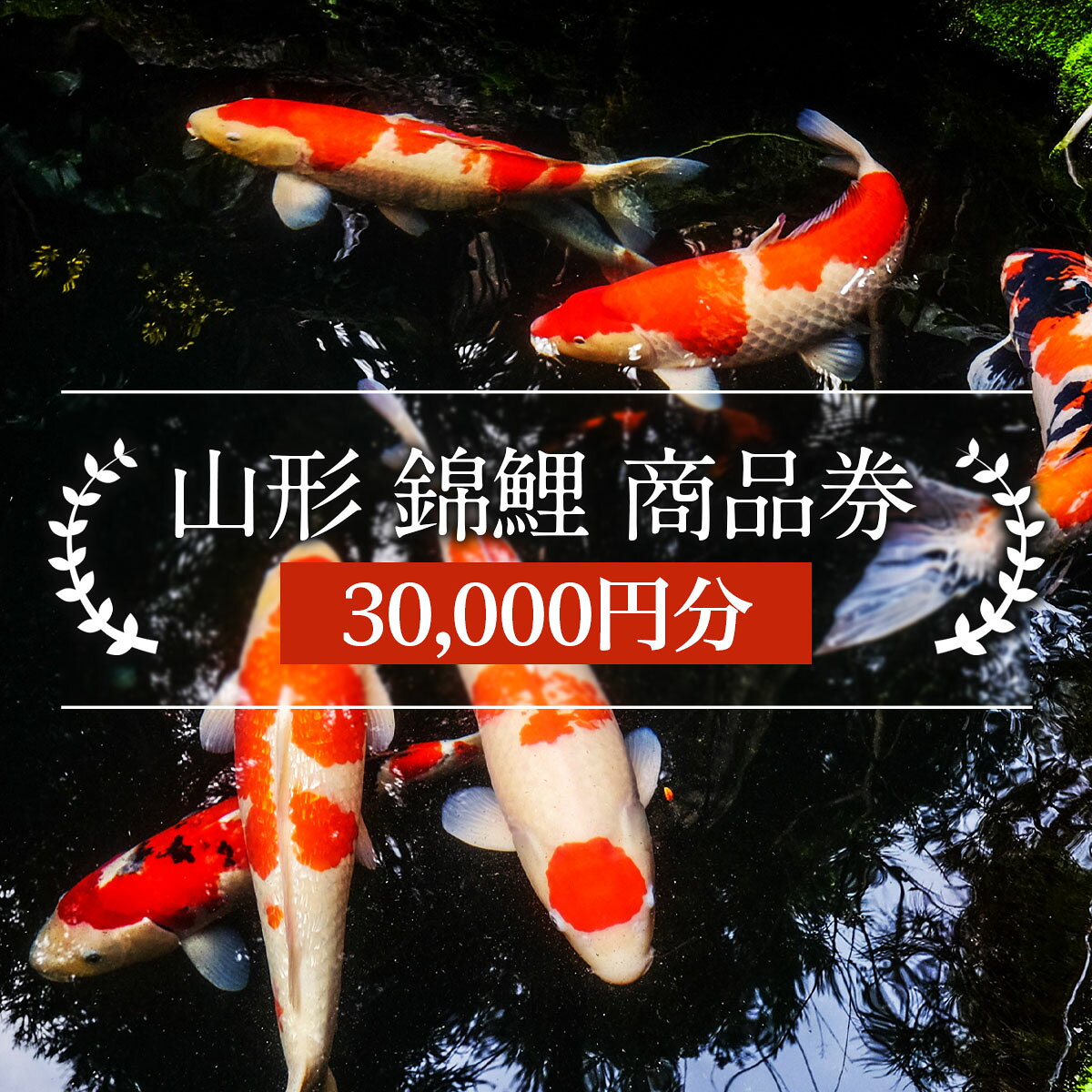 【ふるさと納税】山形 錦鯉 商品券 30,000円分 FY21-491