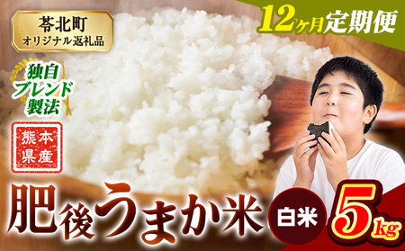 【12ヶ月定期便】肥後うまか米 熊本県産ブレンド米約5kg(白米) 熊本県産 ふるさと納税 無洗米 白米 精米 米 こめ コメ お米 おこめ《申込み翌月から発送》