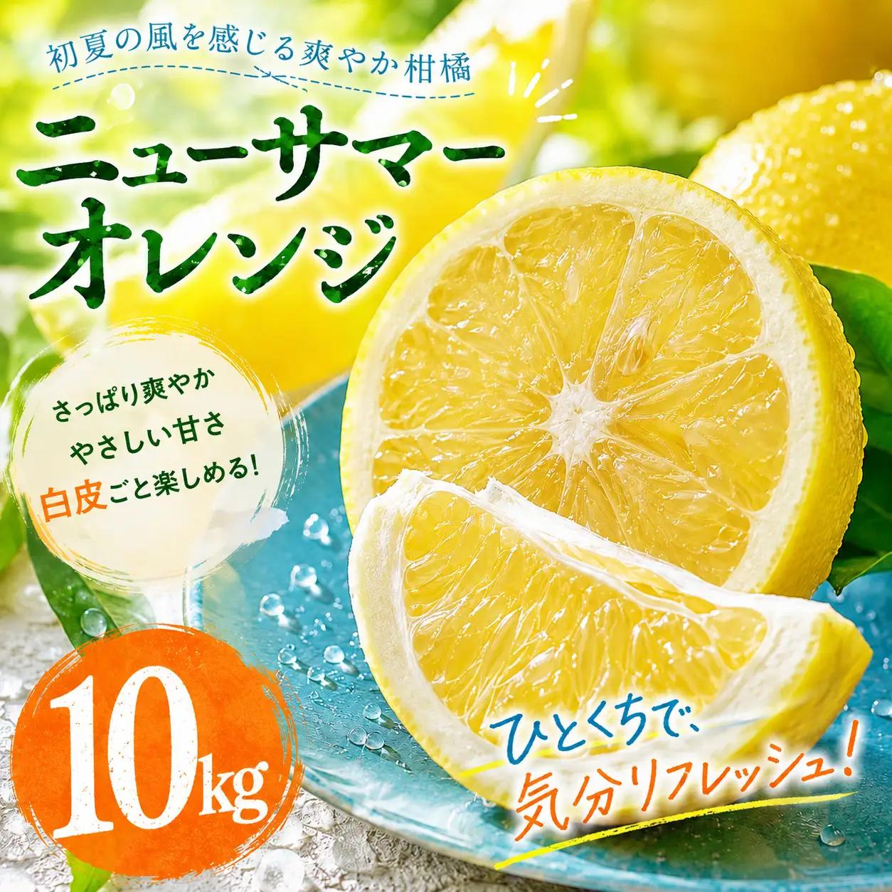 ニューサマーオレンジ 家庭用 10kg 【2027年4月中旬頃から順次発送】 | みかん ミカン mikan 蜜柑 訳ありフルーツ 柑橘 果物 おすすめ お勧め お取り寄せ ギフト 愛媛県 松山市 【MKN024】