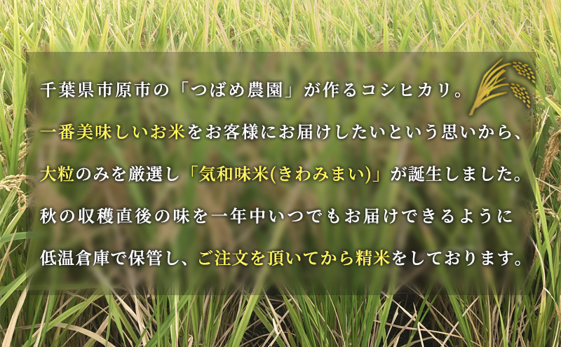 「気和味米」千葉県産コシヒカリ 10kg (5kg×2袋)　白米