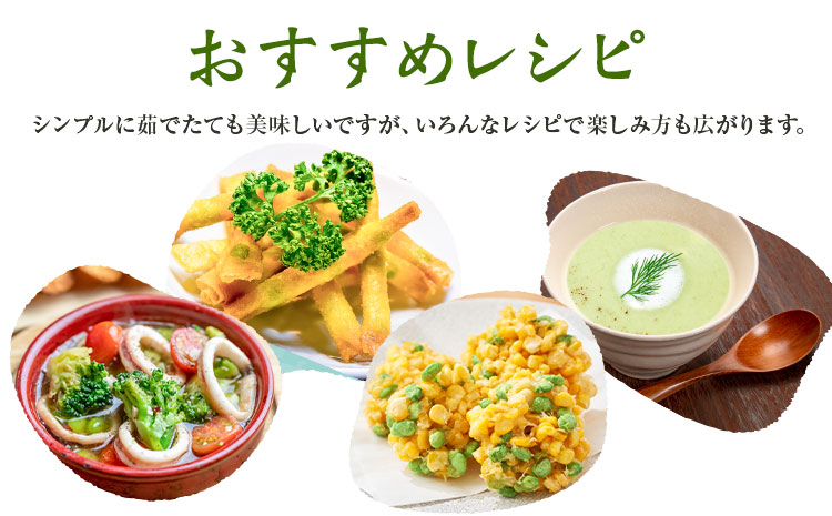 先行予約 茨城県結城市産枝豆「湯あがり娘」4.5kg（茶豆味）有限会社大嶋農園 《7月中旬-8月上旬頃出荷》 野菜 国産 甘み 香り 濃厚 つまみ ビールのおつまみ ビールのつまみ【配送不可地域あり】