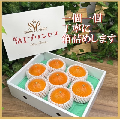 柑橘界のサラブレット!!「まどんな」と「甘平」を親に持つ!!　「紅プリンセス」2キロ【D39−76】【配送不可地域：離島】【1621674】