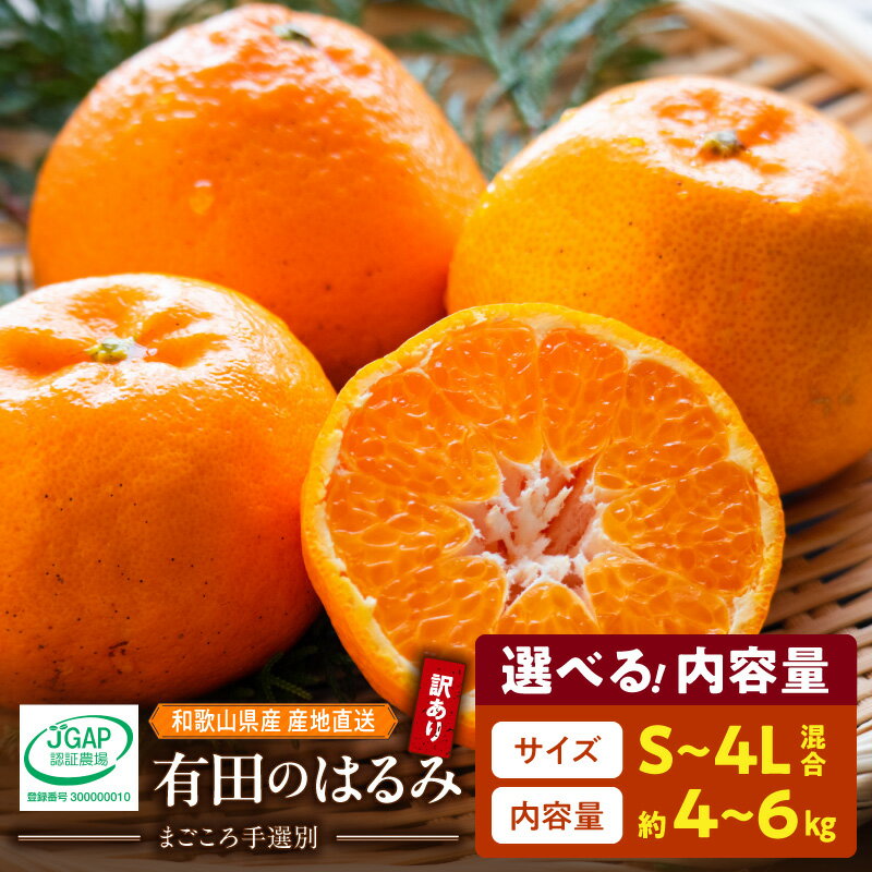 【ふるさと納税】和歌山県産 有田 はるみ 訳あり 家庭用 S ～ 4L サイズ混合 選べる 内容量 約 4kg 6kg 早熟 甘い 爽やか 皮が剥きやすい 種が少ない 手選別 みかん フルーツ 柑橘 果実 お取り寄せ 和歌山県 湯浅町 送料無料
