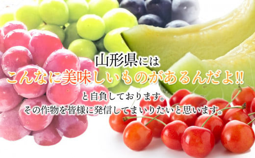 【令和8年産先行予約】さくらんぼ　佐藤錦 約1kg 山形県庄内産　丸果庄内青果　| サクランボ フルーツ 果物 くだもの 旬 人気 美味しい 鶴岡市 先行予約 返礼品