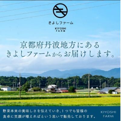ふるさと納税 南丹市 【毎月定期便】【産地直送】旬のお野菜詰め合わせ 京野菜セット 6〜8種類全12回 |  | 03