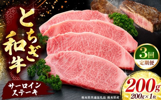《定期便3回》【とちぎ和牛】牛肉 サーロインステーキ 200g×1P  《栃木県共通返礼品 栃木県産》