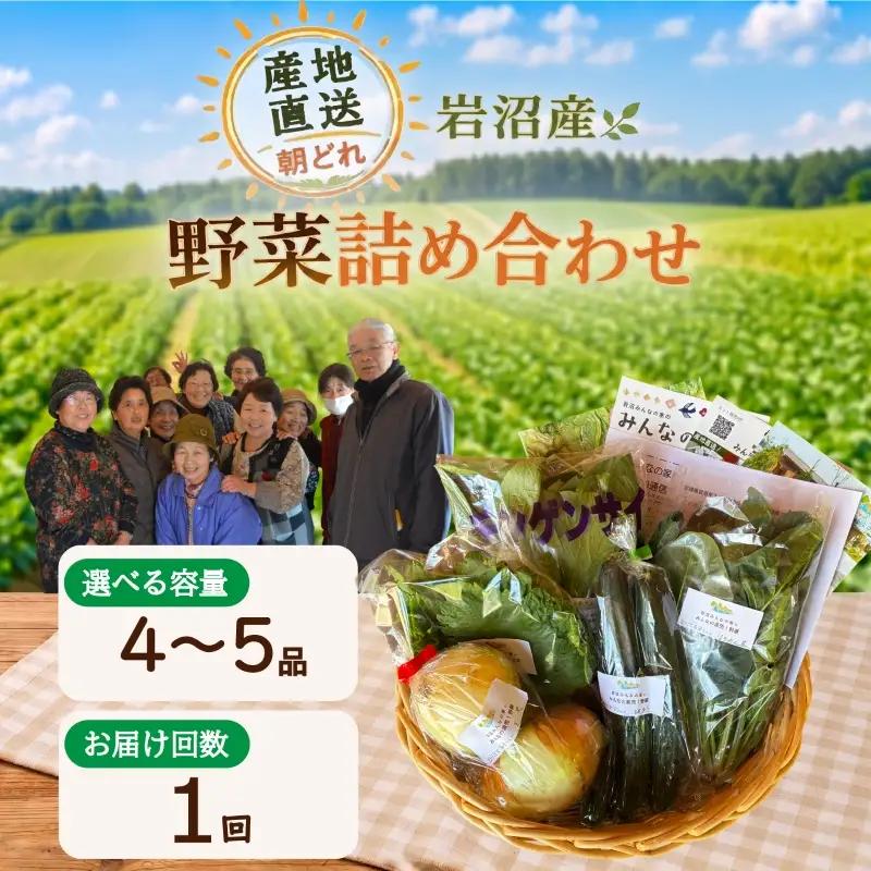 産地直送 朝どれ 新鮮野菜 4～5種類 詰め合わせ セット 野菜