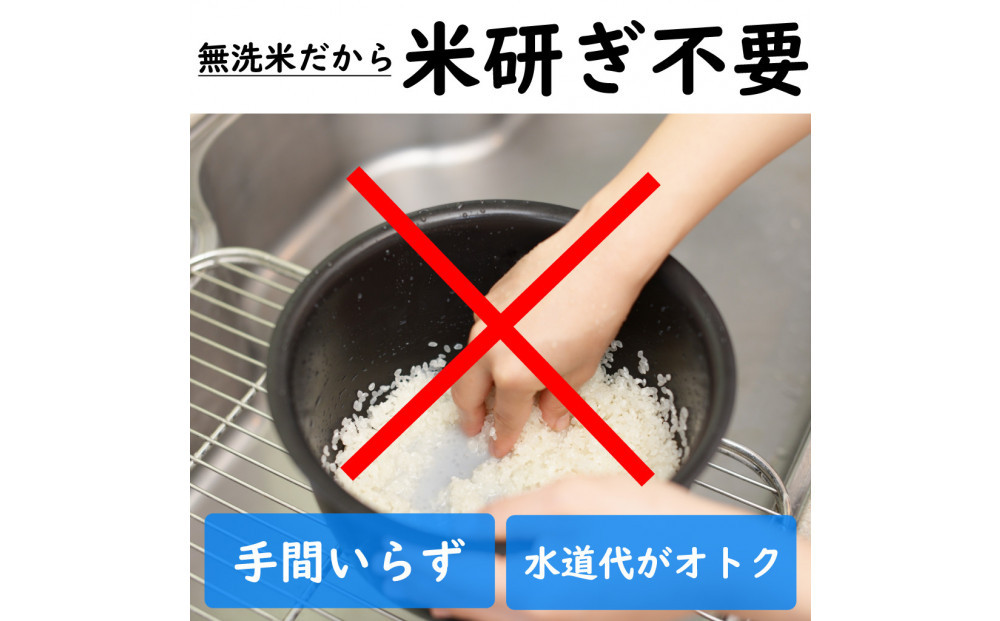 令和7年産 新潟県 魚沼産 無洗米 コシヒカリ2kg 精米 一等米  天糧