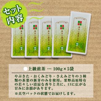 B05 上級煎茶「霧島山麓湧水茶」(5袋・1袋100g) 国産 九州産 鹿児島県産 やぶきた おくみどり さえみどり 茶さじ付き 茶葉 お茶 おちゃ 日本茶 一番茶 新茶 真空パック ギフト 贈答 プ