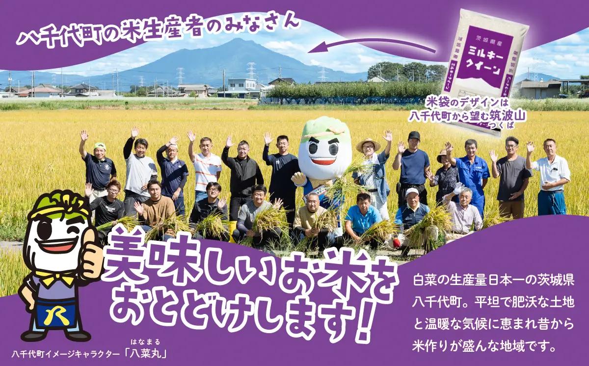 【令和7年産】精米 ミルキークイーン 10kg スピード発送 白米 10kg(5kg×2袋)