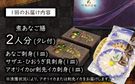 【全6回定期便】対馬 煮あなご膳 刺身 セット《対馬市》【対馬地域商社】九州 長崎 アナゴ[WAC040] コダワリ穴子・あなご・アナゴ こだわり穴子・あなご・アナゴ おすすめ穴子・あなご・アナゴ お