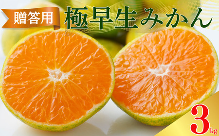 【 贈答用 】 極早生 みかん 3kg S ・ M ・ L いずれか揃えてお届け みかんみかん 清家ばんかんビレッジ