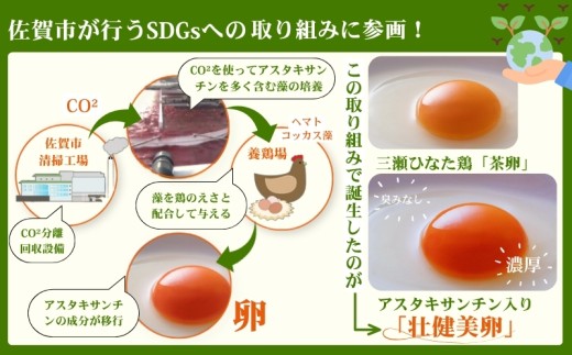 平飼いたまご 三瀬ひなた鶏舎 「壮健美卵」35個＋割れ保証5個（計40個）：B135-026