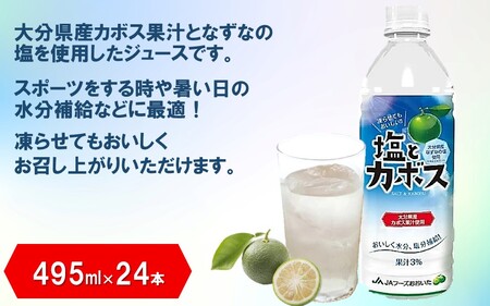 塩とカボス 1ケース/495ml×24本_2681R-1