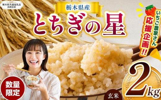 【栃木県共通返礼品】 【先行予約】訳あり 数量 限定 令和8年度産 とちぎの星 約 2kg | とちぎの星 ミルキークイーン 玄米 白米 ごはん おいしい  ふるさと納税 栃木県 那珂川町 送料無料
