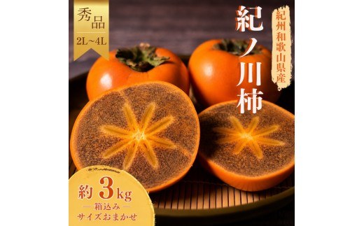 
                  紀ノ川柿  約3kg2L~4L(サイズおまかせ) 秀品 / カキ 甘い 美味しい 紀美野町産 ※2026年10月中旬～11月上旬に順次発送 【frt504-r-kino-3】
                
