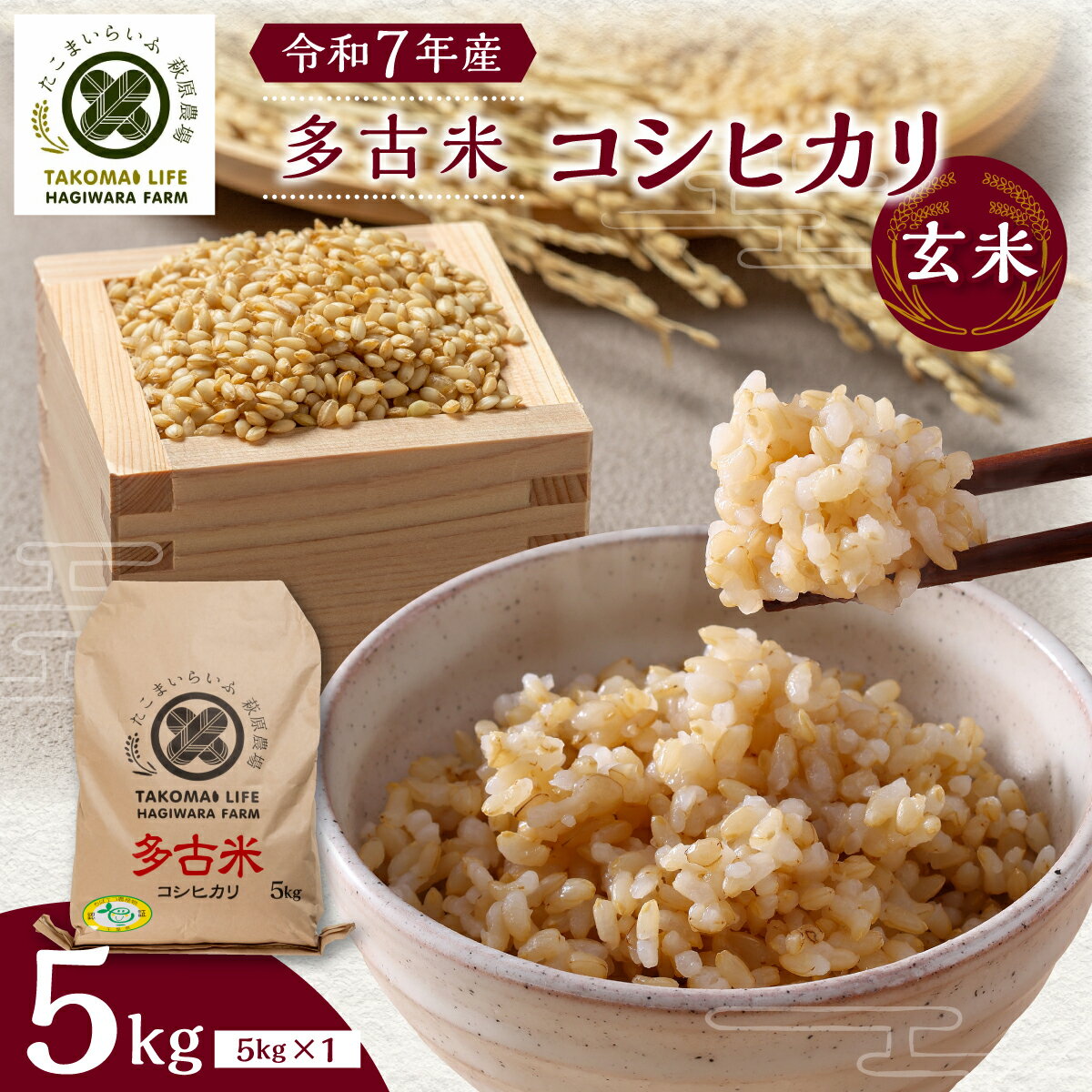 【ふるさと納税】【令和7年産】たこまいらいふ萩原農場の多古米コシヒカリ(玄米)5kg　【配送不可地域：離島・沖縄県】【TAKK014】