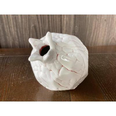 ふるさと納税 大津市 龍爪梅花皮 蕾つぼ　赤　(10cm)