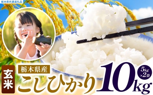 いちご農家さん応援米！  令和7年度産 玄米 約10kg こしひかり |  真岡市産 米  お米 こめ 玄米 ご飯 ごはん もちもち コシヒカリ 限定 ふるさと納税  栃木県 真岡市 送料無料